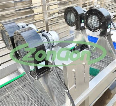 Automatisches Schneiden waschen Blanching -Sterilisationsproduktionslinie