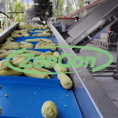 Verarbeitungslinie in der Zuckermais in Konserven